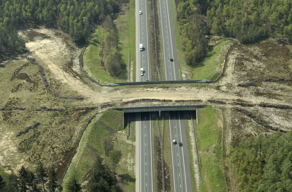 Brug-Rogir-Z-Petrea-Heerde-001